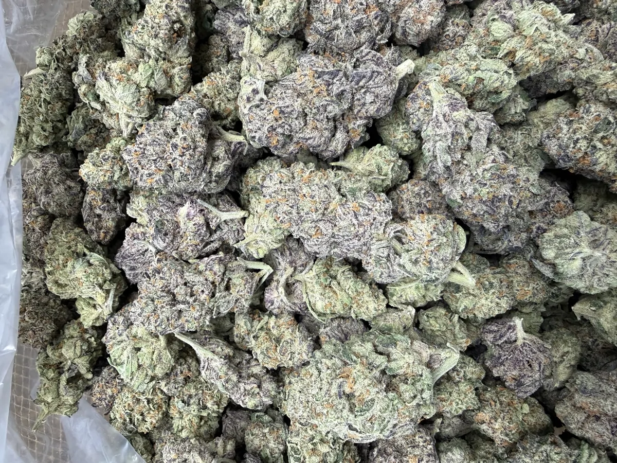 Sugar Sprite Packaged Flower